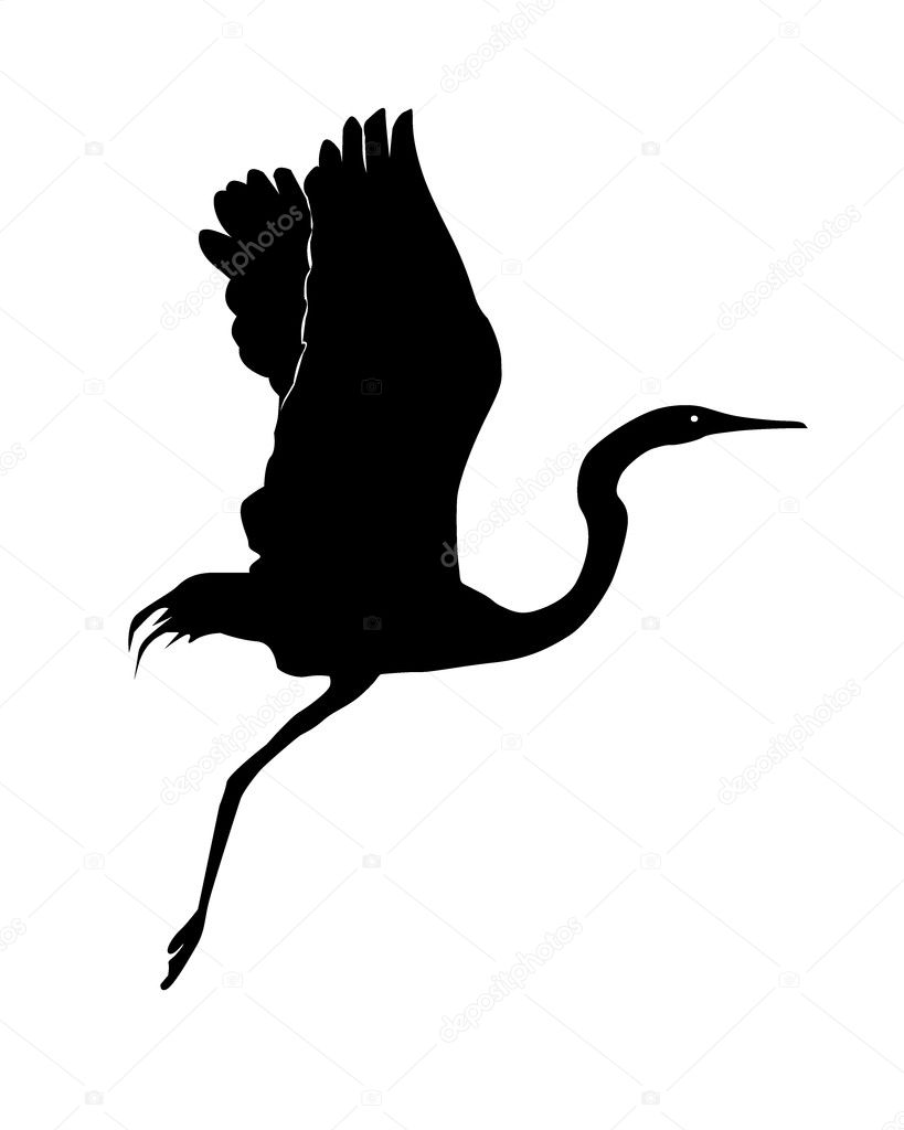 Silhouette of a flying up heron