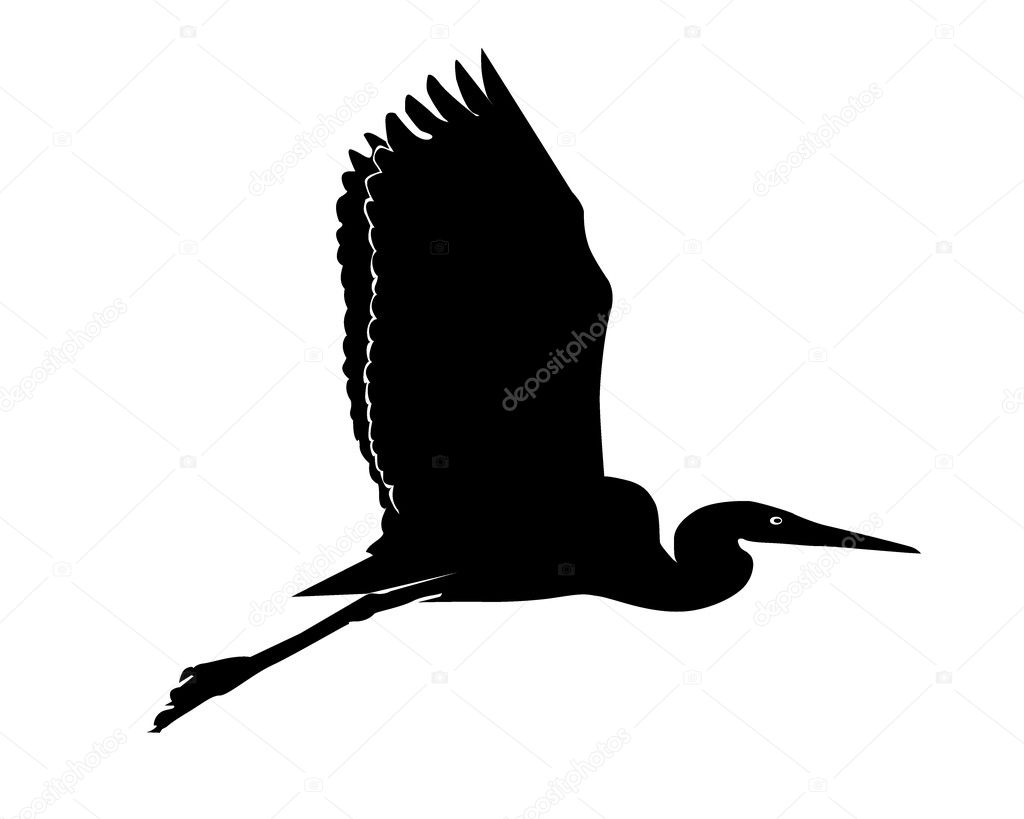 Silhouette of a flying heron