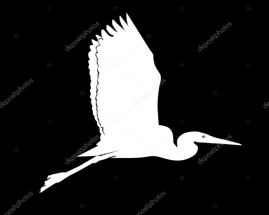 White silhouette of a flying heron