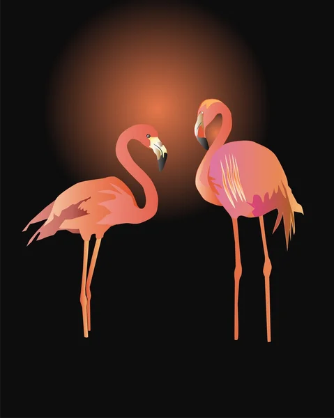 Par de Flamingos Rosa — Vetor de Stock