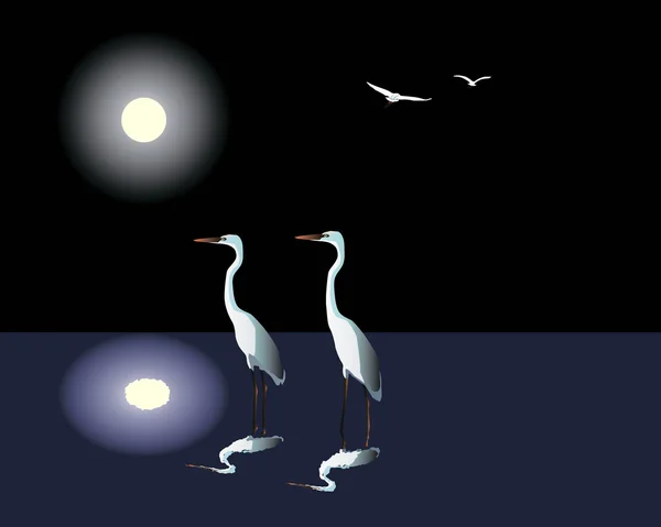 Dos garzas contra el cielo nocturno — Archivo Imágenes Vectoriales