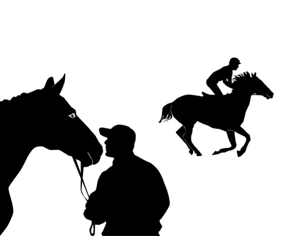 Equestrian sport — Stock Vector
