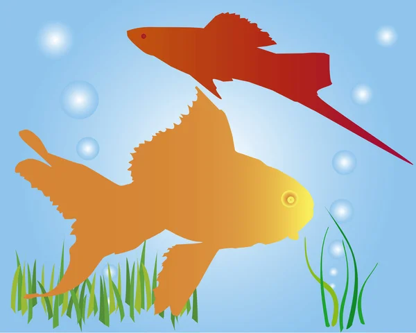 Acuario peces pequeños — Vector de stock