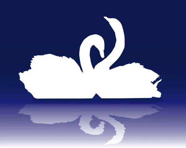 Paire de cygnes blancs — Image vectorielle