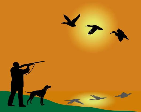 Silhouette du chasseur de canards avec un chien — Image vectorielle