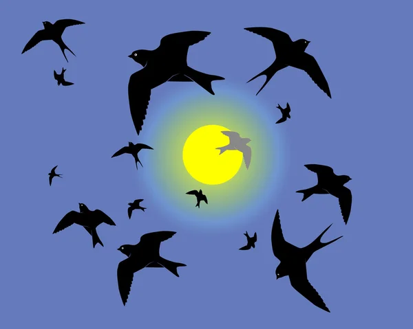 Des hirondelles volantes contre le ciel — Image vectorielle