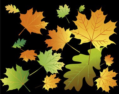 Sonbahar Yaprakları