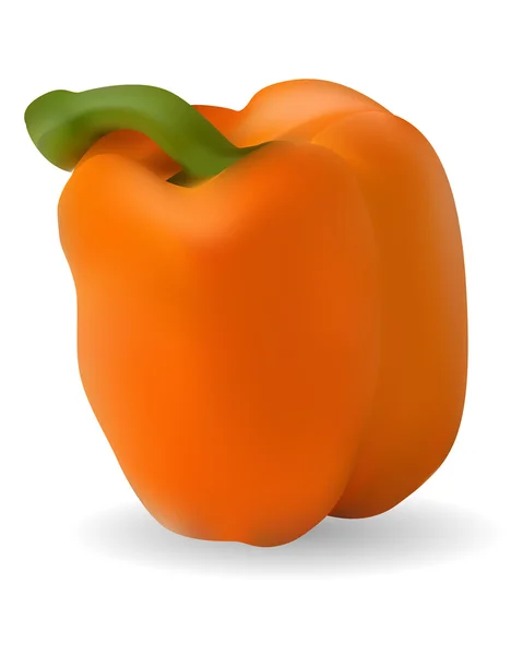 Oranje Bulgaarse peper — Stockvector