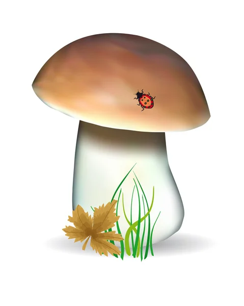 stock vector Mushroom with autumn sheet and a ladybird