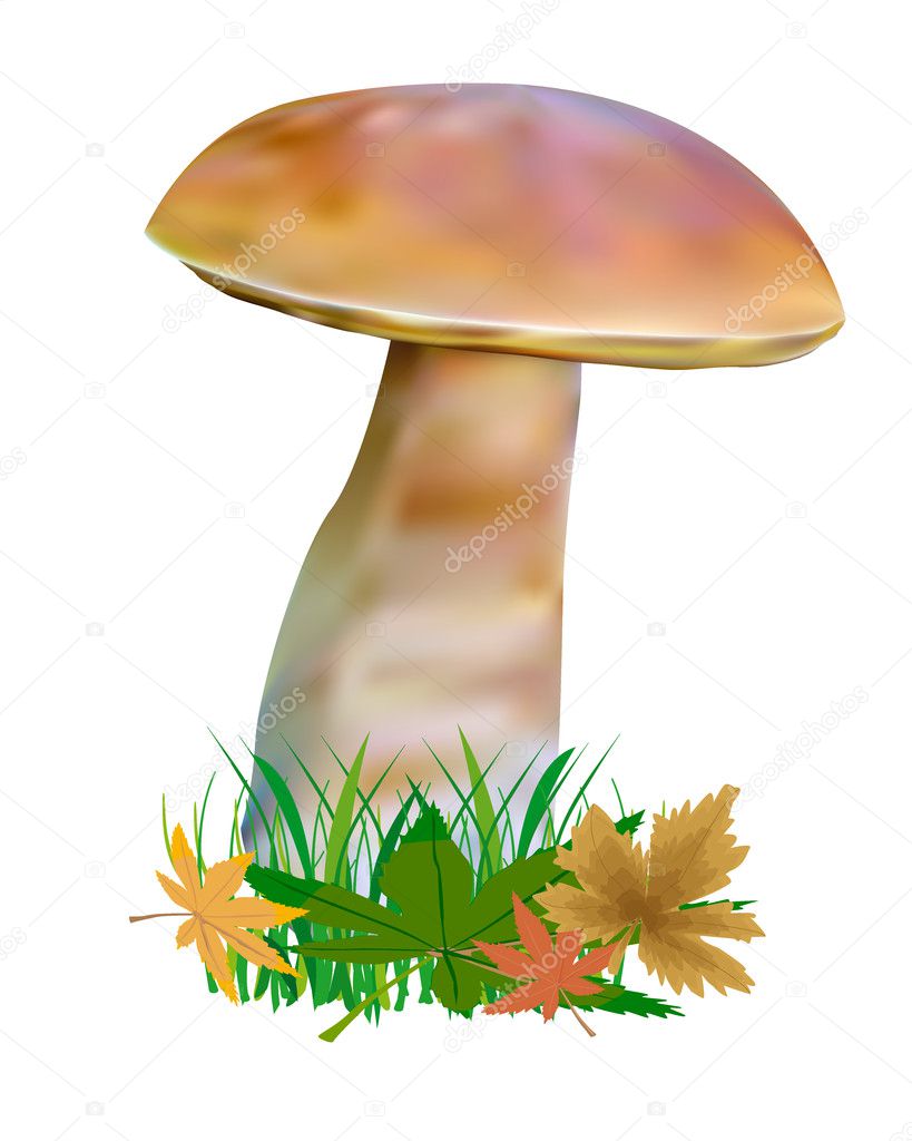 Mushroom with leaves