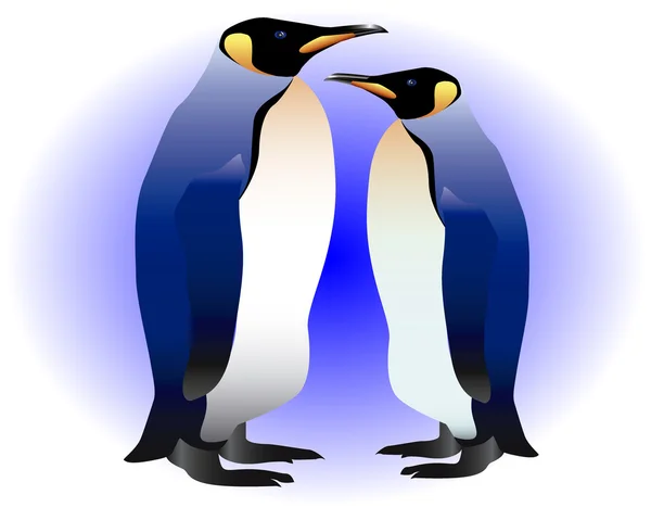 Iki penguenler — Stok Vektör