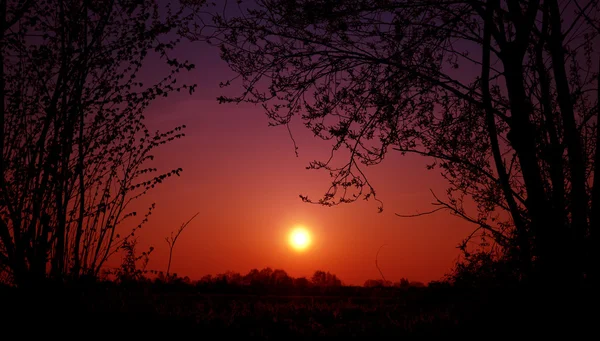 Puesta de sol Sihouet — Foto de Stock