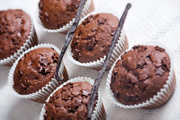 Muffin cake chocolate sweet dessert — Stock Photo, Image