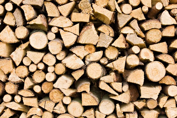 Stacks of Logs — стоковое фото