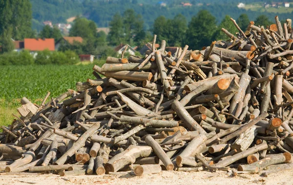 Bando de Logs — Fotografia de Stock