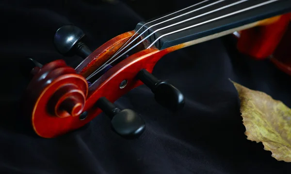 바이올린 음악 클래식 현악기 — 스톡 사진