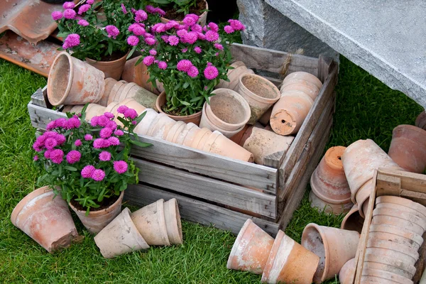 Rustik Bahçe natürmort — Stok fotoğraf