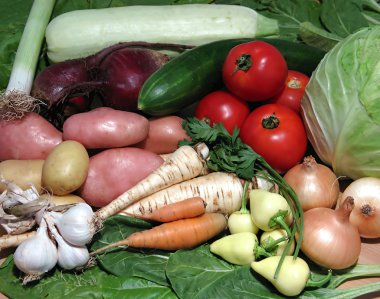 Vegetables composition clipart