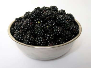 Blackberries clipart