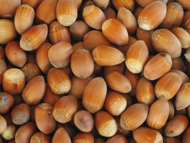 Almond hazelnuts clipart