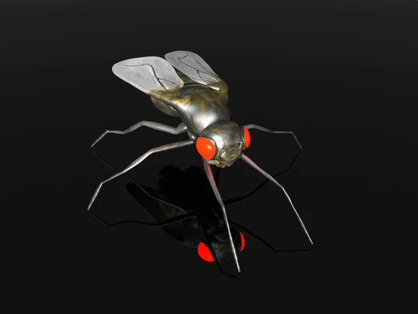 Zła mucha — Zdjęcie stockowe