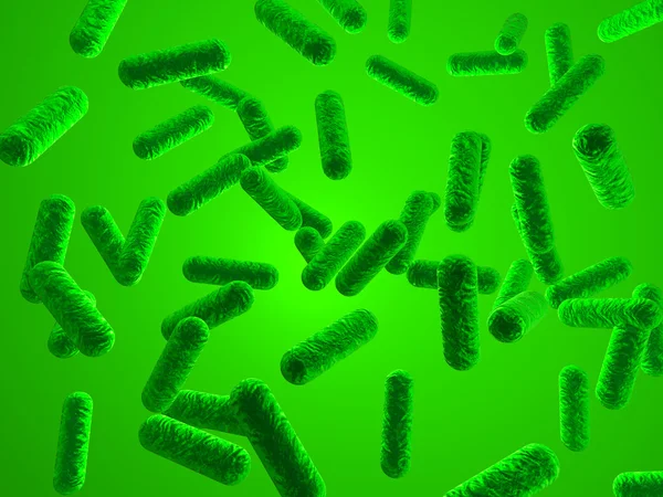 Bacillus — стокове фото