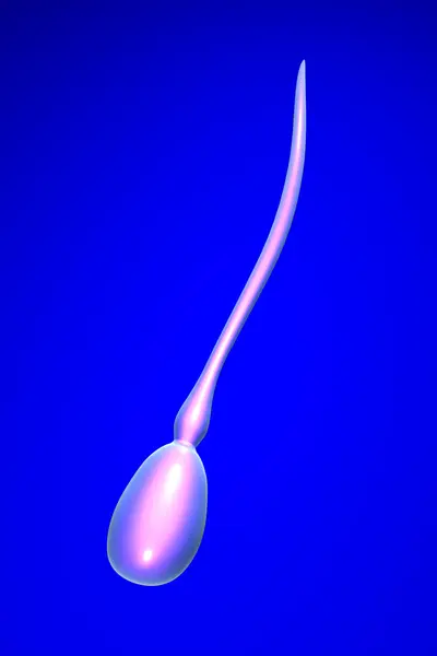 Сперми клітинки — стокове фото