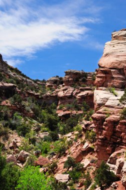 Colorado Ulusal Anıtı