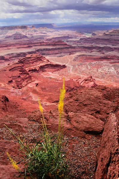 Parco Nazionale delle Terre del Canyon — Foto Stock