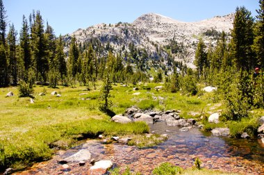 yüksek sierra çayır yosemite Milli Parkı