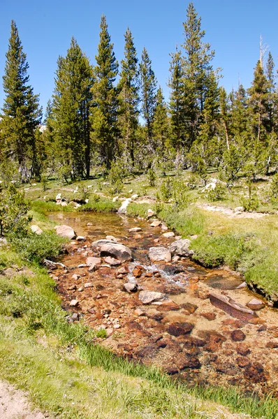 High sierra creek — Stock Photo, Image