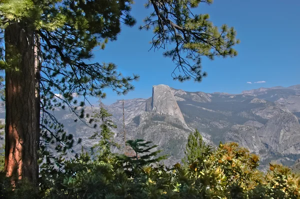 Half Dome Yosemite Nationalpark — Stockfoto