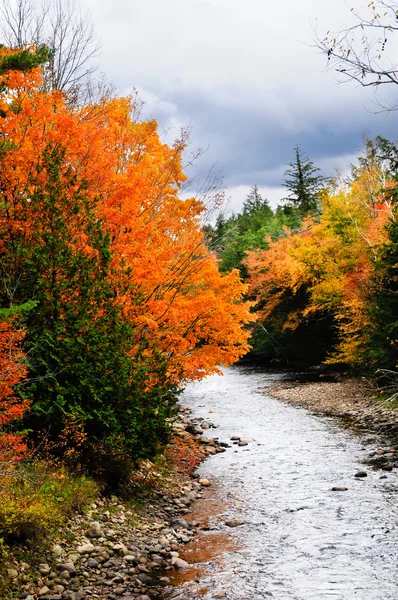 Herfst kleuren Stockfoto