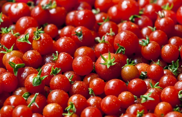 Cherry rajčata Stock Obrázky