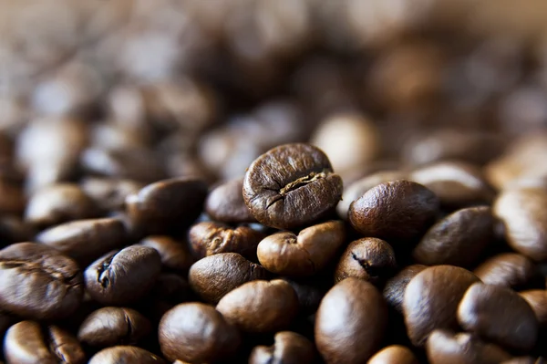 Кава в зернах Ліцензійні Стокові Фото