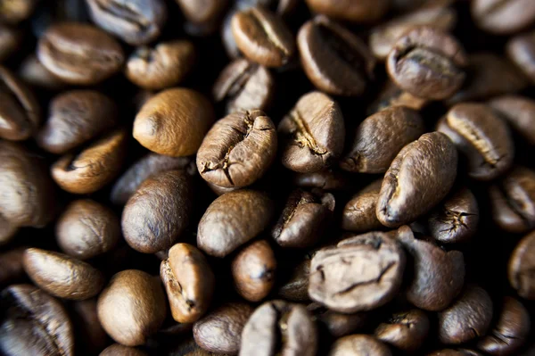 咖啡豆 免版税图库照片