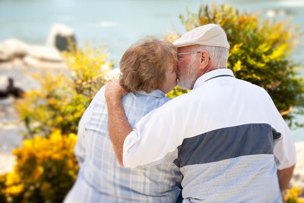 Lyckliga äldre par kyssas på park — Stockfoto