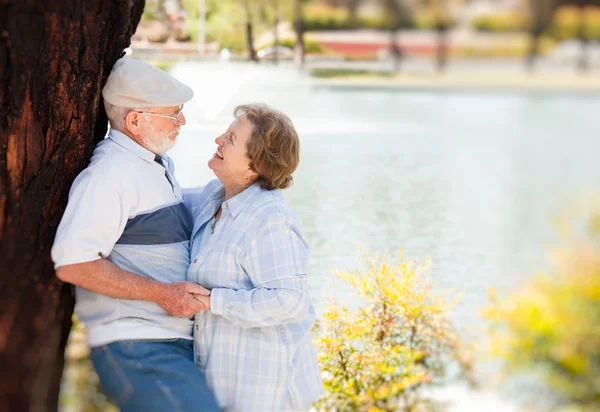 Щаслива старша пара насолоджуючись один одного — стокове фото