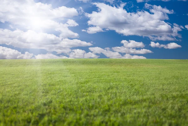 Champ d'herbe vert luxuriant, ciel bleu avec Cl — Photo