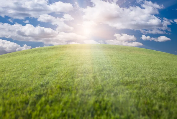 Klenutý horizont svěží zelenou trávu pole, obloha — Stock fotografie
