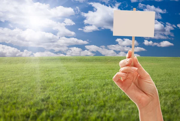 Blank Sign in Female Grasp in a Field — Stock Photo, Image