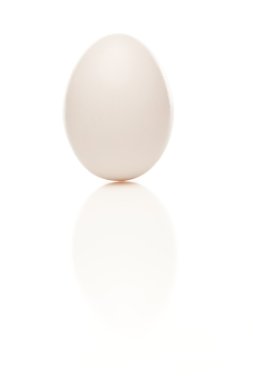 izole üzerinde beyaz bir arka plan ayakta beyaz yumurta.