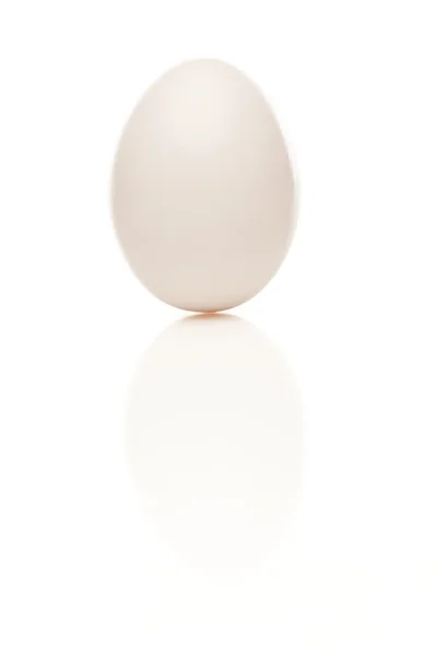 Стоїть біле яйце ізольовано на білому тлі . — стокове фото