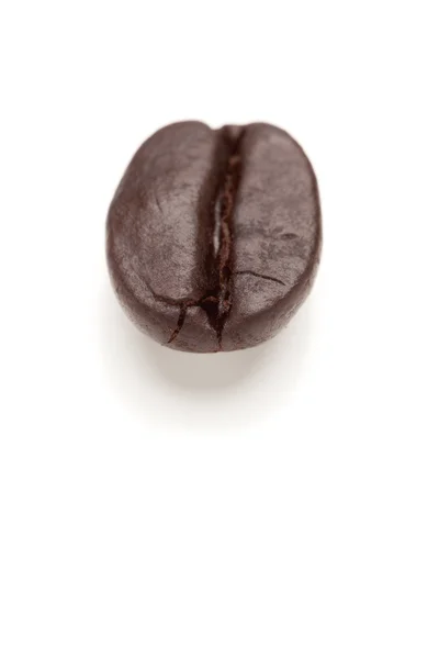 Single Roasted Coffee Bean on White — Stock Photo, Image