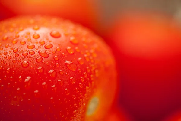 Su damlası ile kevgir içinde taze, canlı roma domates — Stok fotoğraf