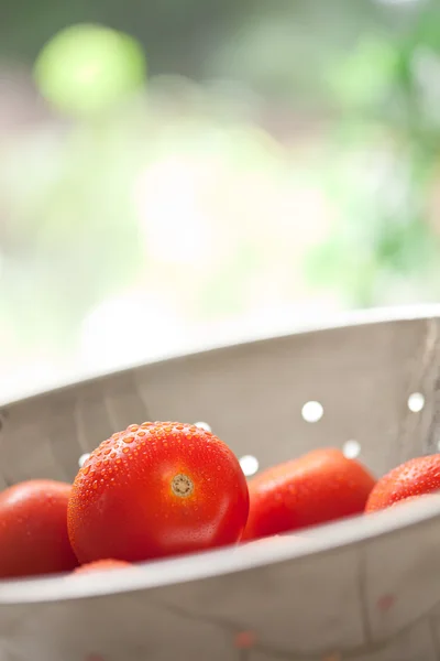 Tomates Roma fraîches et vibrantes en passoire avec gouttes d'eau — Photo