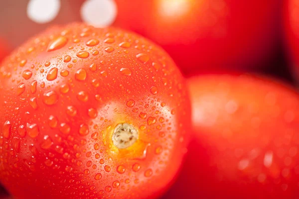 水の滴をザルに新鮮な活気のあるローマ ・ トマト — ストック写真