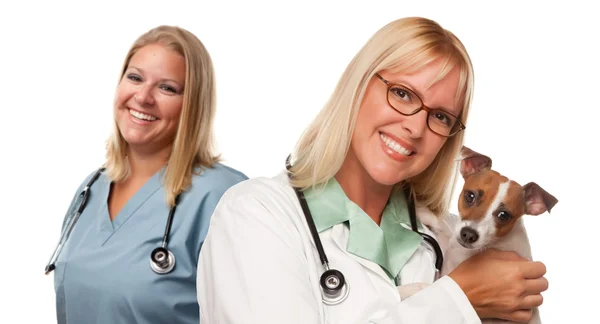 Kvinnliga veterinär läkare med liten valp — Stockfoto