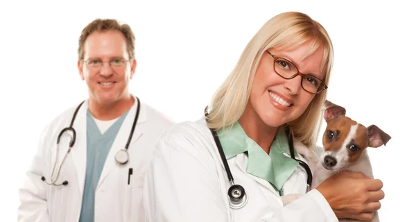 Kvinnliga veterinär läkare med liten valp — Stockfoto