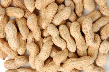 Pile of raw peanuts in shells clipart